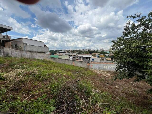 Venda em Xodó Marize - Belo Horizonte