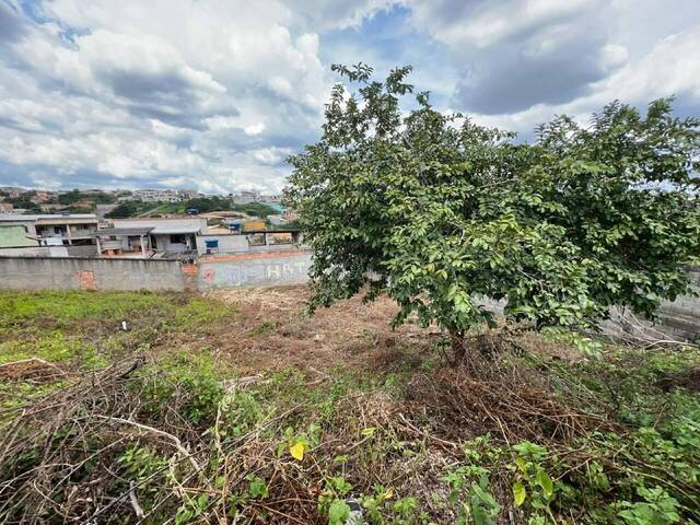 #1994 - Terreno para Venda em Belo Horizonte - MG - 2
