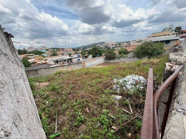 #1994 - Terreno para Venda em Belo Horizonte - MG - 3