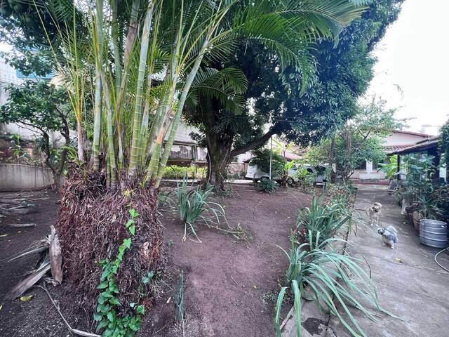 #1877 - Casa para Venda em Belo Horizonte - MG - 3