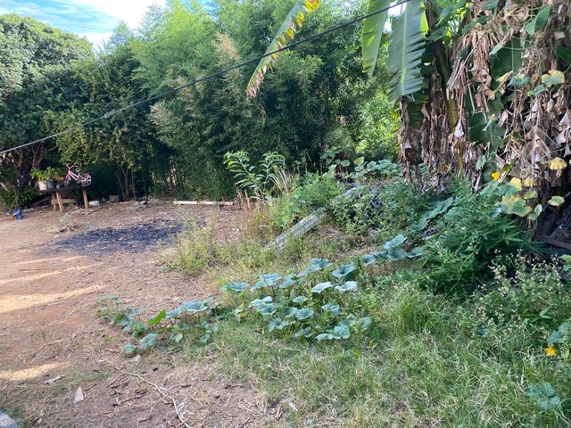 Terreno para Venda em Santa Luzia - 5